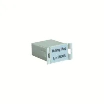 BE-50SB2500 Rating Plug – view 2 of 4