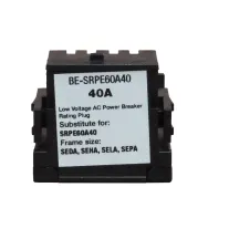 BE-SRPE60A40 Rating Plug – view 1 of 4